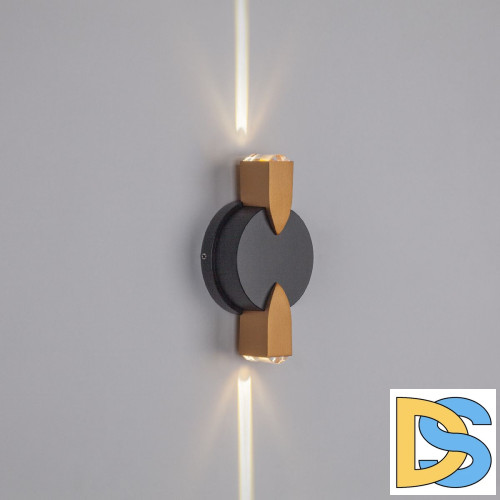 Уличный настенный светильник Lightstar Dito 380623