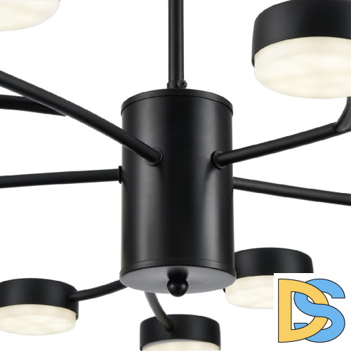 Люстра на штанге Lumion Torina 8117/15