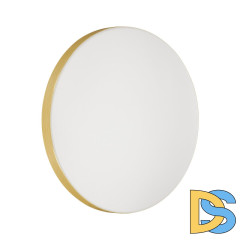 Настенно-потолочный светильник Sonex Smalli 3066/AL