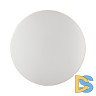 Настенно-потолочный светильник Sonex Smalli 3066/AL