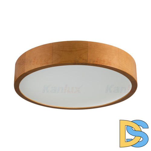 Потолочный светильник Kanlux Jasmin 36441