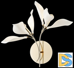 Настенный светильник Wertmark Miranda WE123.02.301