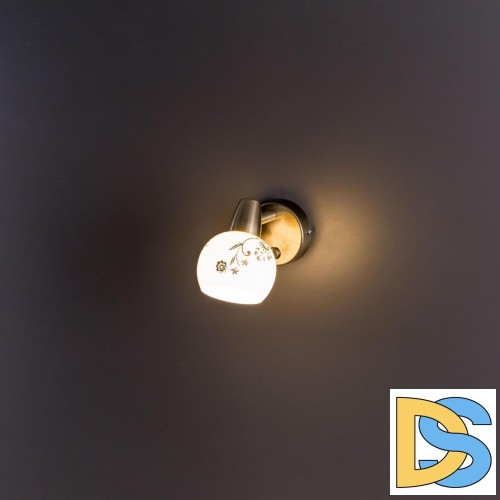 Спот Citilux Соната CL520513