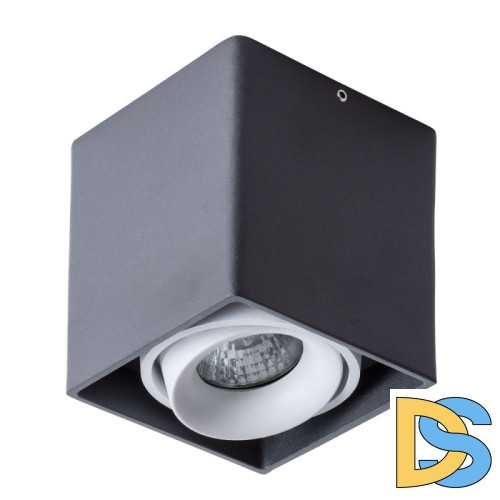 Потолочный светильник Arte Lamp Pictor A5654PL-1BK