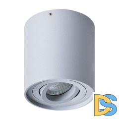 Потолочный светильник Arte Lamp Falcon A5645PL-1GY