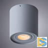 Потолочный светильник Arte Lamp Falcon A5645PL-1GY