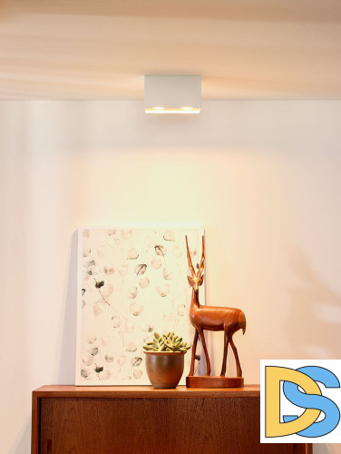 Потолочный светильник Lucide Bodi 09101/02/31