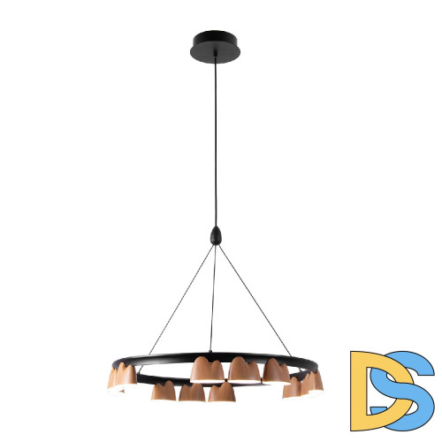 Подвесная люстра Favourite Interline 4266-12P