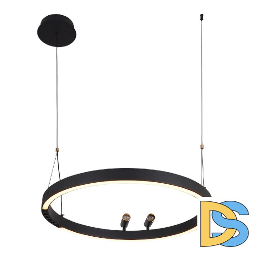 Подвесная люстра F-Promo Slinga 4474-1P