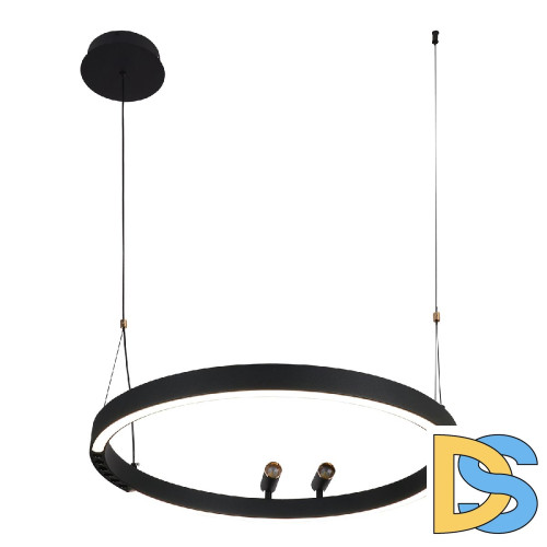 Подвесная люстра F-Promo Slinga 4474-1P