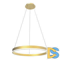 Подвесной светильник Lightstar Rotonda 736402