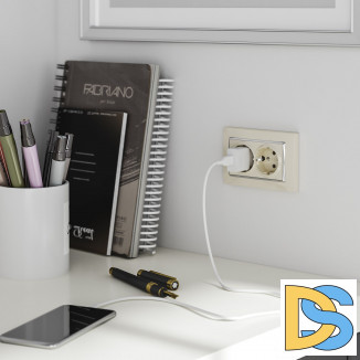 Рамка для двойной розетки (слоновая кость/хром) W0081903