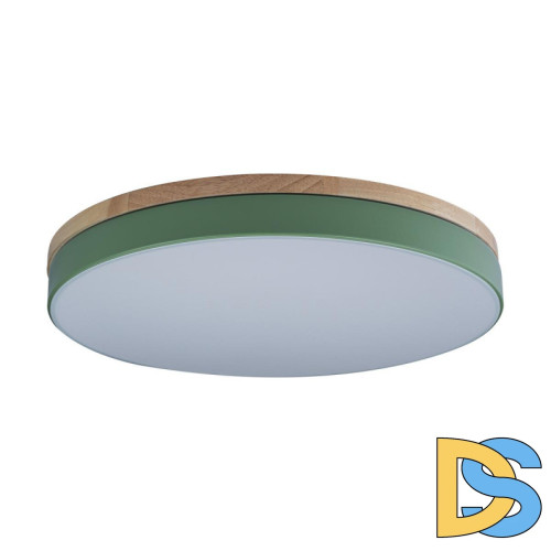 Потолочный светильник Loft IT AXEL 10001/36 Green