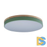 Потолочный светильник Loft IT AXEL 10001/36 Green