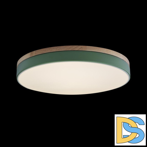 Потолочный светильник Loft IT AXEL 10001/36 Green