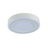 Потолочный светодиодный светильник Arte Lamp Antares A7809PL-2WH
