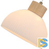 Подвесной светильник Arte Lamp Caprice A4184SP-1BR