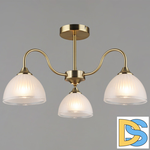 Люстра на штанге Reluce 06591-0.3-03 COP