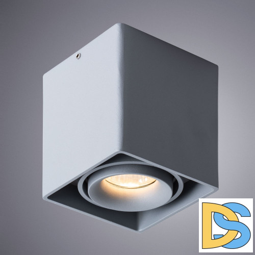 Потолочный светильник Arte Lamp Pictor A5654PL-1GY