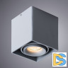 Потолочный светильник Arte Lamp Pictor A5654PL-1GY