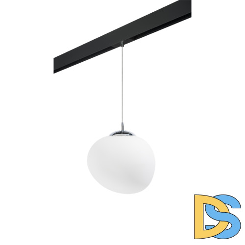 Трековый светильник Lightstar Arnia PRO805016 (805016+595007)