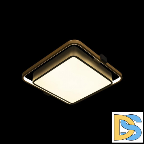 Потолочный светильник Loft IT Mike 10171