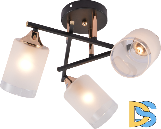 Потолочная люстра Rivoli Fiona 3163-303 Б0059259