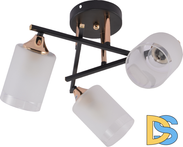 Потолочная люстра Rivoli Fiona 3163-303 Б0059259