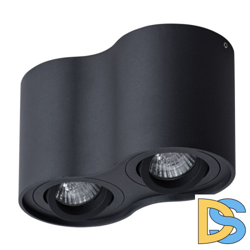 Потолочный светильник Arte Lamp Falcon A5645PL-2BK
