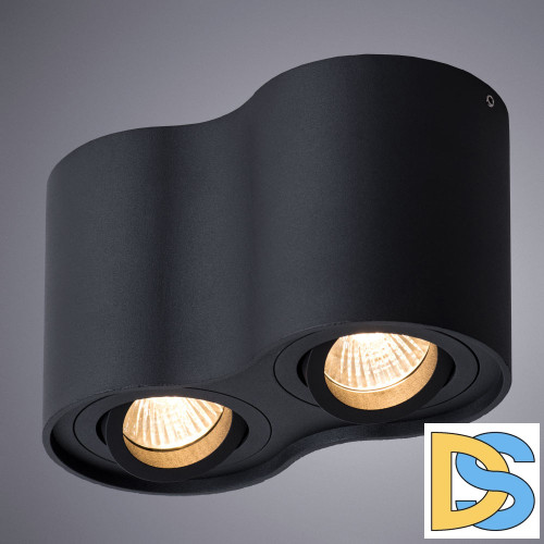 Потолочный светильник Arte Lamp Falcon A5645PL-2BK