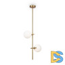 Подвесной светильник Freya Blossom FR5259PL-02BS