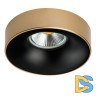 Встраиваемый светильник Lightstar Levigo L01002723 (010027+510023)