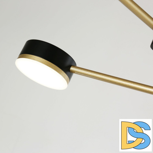 Люстра на штанге Favourite Modul 4013-6P