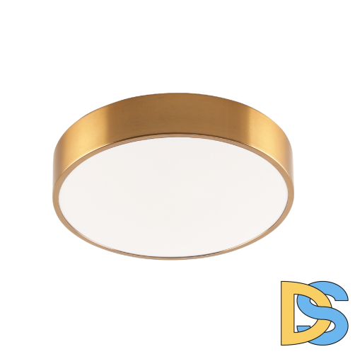 Потолочный светильник Zortes Tortty ZRS.02566.48