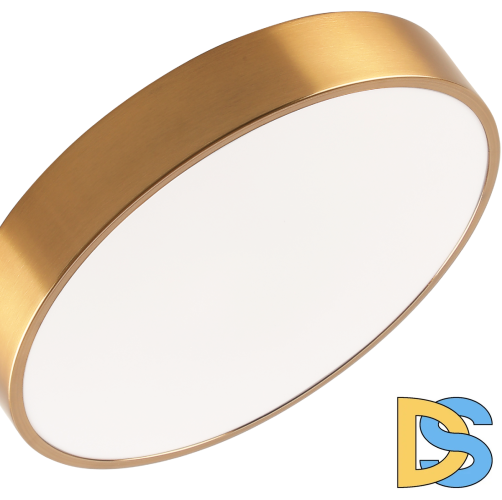 Потолочный светильник Zortes Tortty ZRS.02566.48