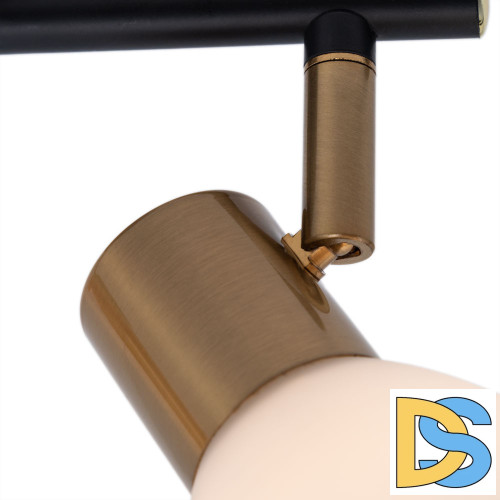 Спот Arte Lamp Falena A3117PL-2BK