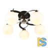 Потолочная люстра Omnilux Caldiero OML-25407-05