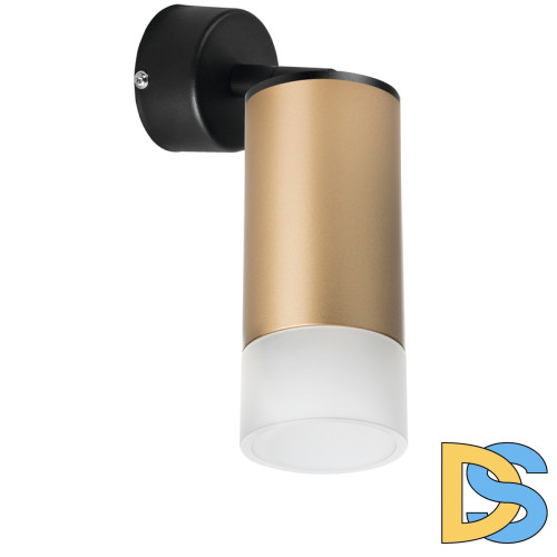 Встраиваемый спот Lightstar Rullo RB44031 (214440+590007+202431)