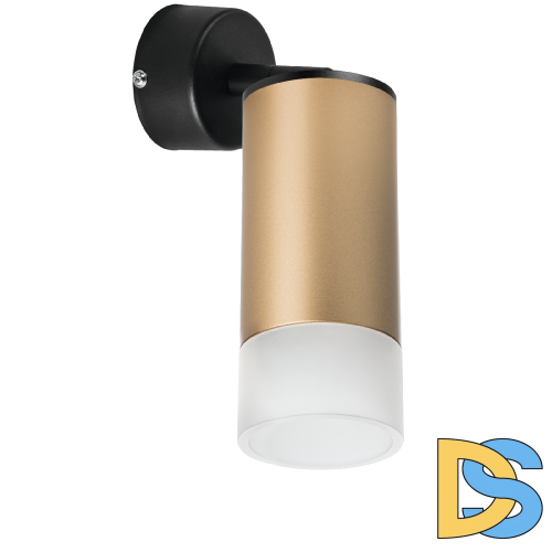 Встраиваемый спот Lightstar Rullo RB44031 (214440+590007+202431)