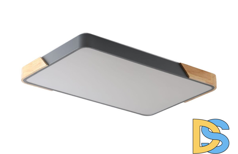 Потолочный светильник Zortes Alberro ZRS.01277.60