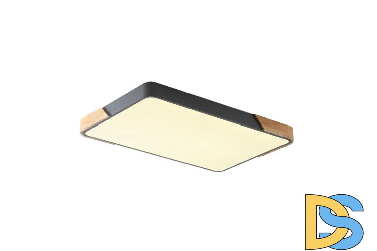 Потолочный светильник Zortes Alberro ZRS.01277.60