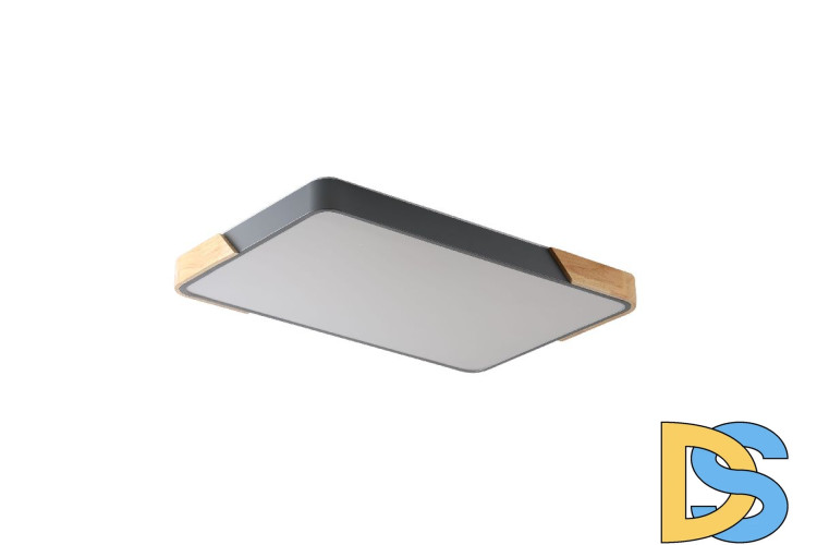 Потолочный светильник Zortes Alberro ZRS.01277.60