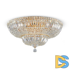 Потолочная люстра Maytoni Basfor DIA100-CL-16-G