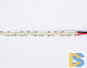Светодиодная лента Ambrella Light LED Strip 12В 2835 17Вт/м 6500K 5м IP20 GS1403