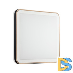 Настенно-потолочный светильник Sonex Akuna 7621/DL