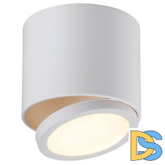 Потолочный светодиодный светильник Omnilux Canicatti OML-20501-01