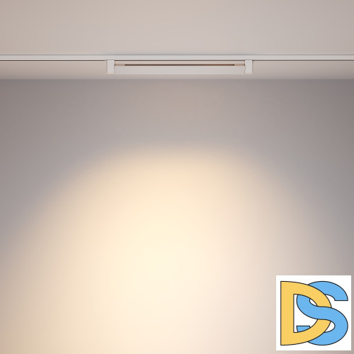 Трековый однофазный светильник Maytoni Points Rot TR010-1-20W3K-M-W