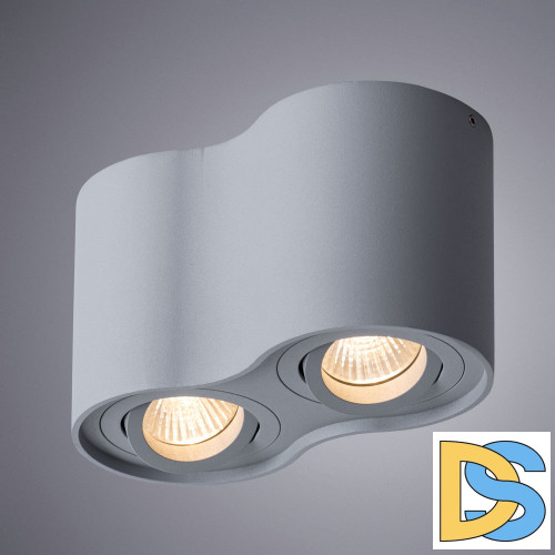 Потолочный светильник Arte Lamp Falcon A5645PL-2GY