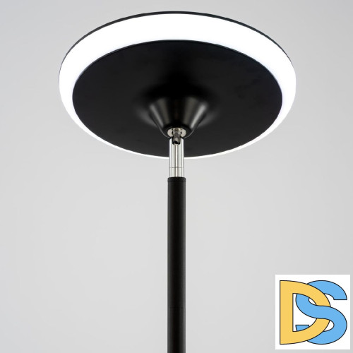 Торшер Citilux Click CL810021