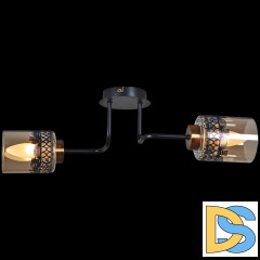 Потолочный светильник Reluce 61713-0.3-02